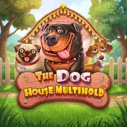 The Dog House Multihold game at BSB007 Casino for Australian players The Dog House Multihold game at BSB007 Casino for Australian players